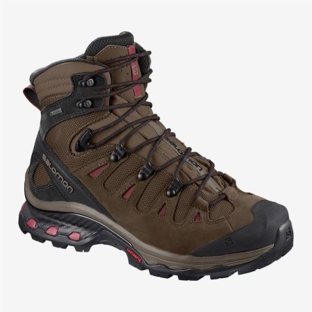 Salomon QUEST 4D 3 GTX W Womens Hiking Boots PH 00CDH